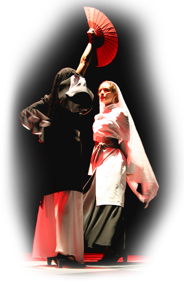 imagem_flamenco_raies_c