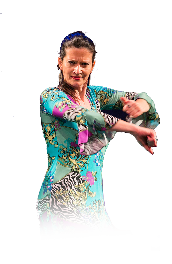 imagem_flamenco_raies_b