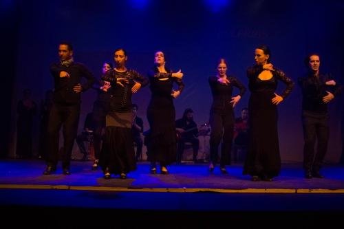 Cine Y Flamenco, 2015