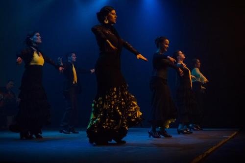 Cine Y Flamenco, 2015
