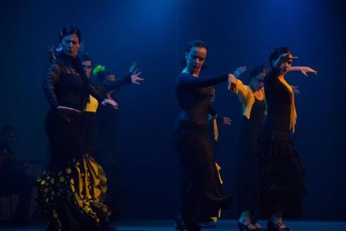 Cine Y Flamenco, 2015