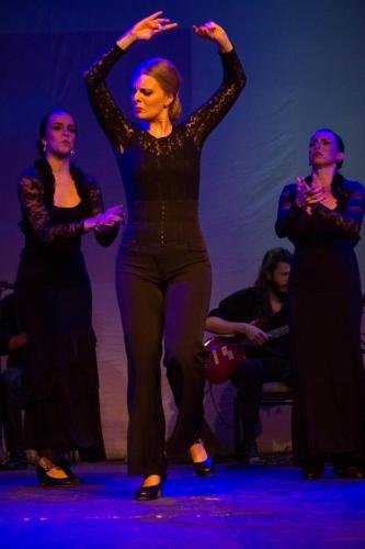 Cine Y Flamenco, 2015