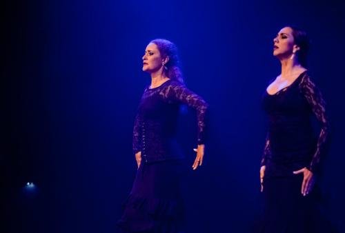 Cine Y Flamenco, 2015