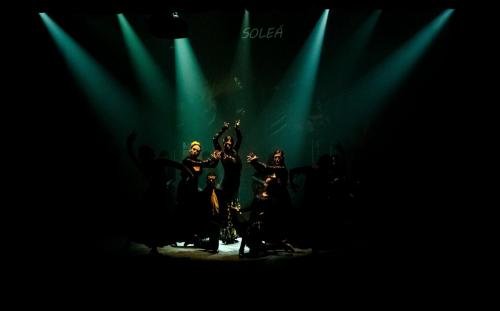 Cine Y Flamenco, 2015