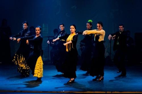 Cine Y Flamenco, 2015