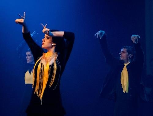 Cine Y Flamenco, 2015