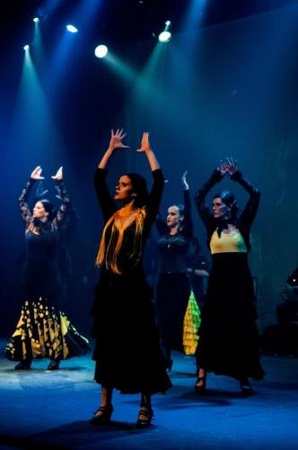 Cine Y Flamenco, 2015