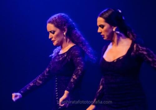 Cine Y Flamenco, 2015