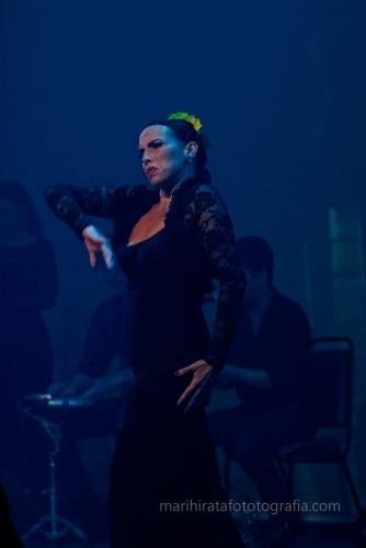 Cine Y Flamenco, 2015