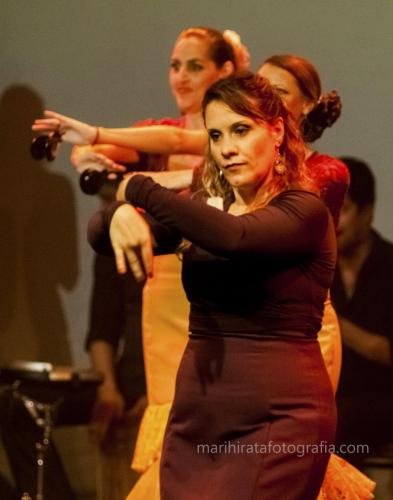 Cine Y Flamenco, 2015