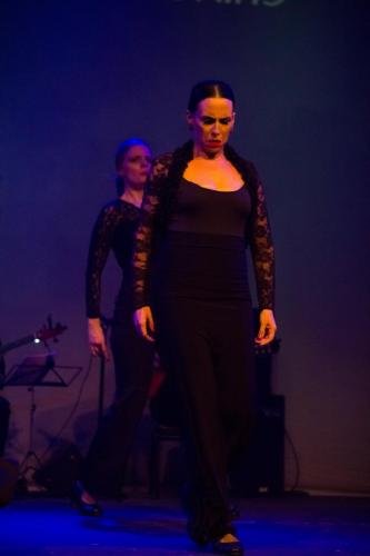 Cine Y Flamenco, 2015