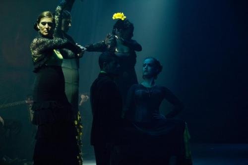 Cine Y Flamenco, 2015