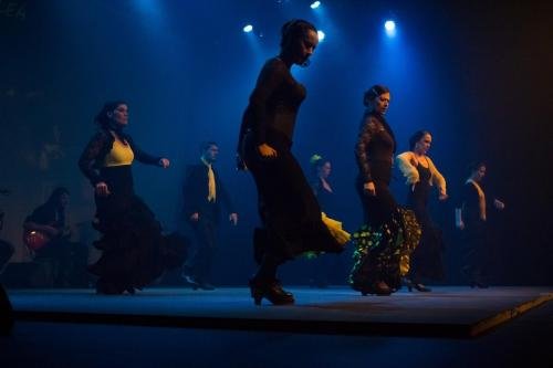 Cine Y Flamenco, 2015