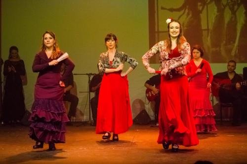 Cine Y Flamenco, 2015