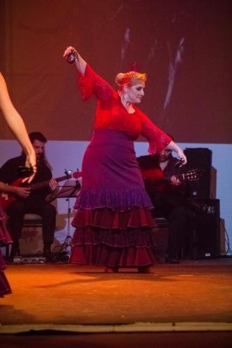 Cine Y Flamenco, 2015