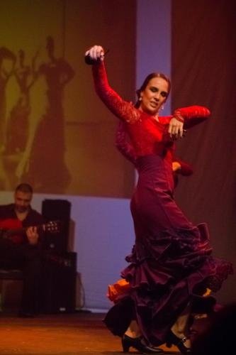 Cine Y Flamenco, 2015