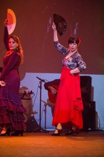 Cine Y Flamenco, 2015